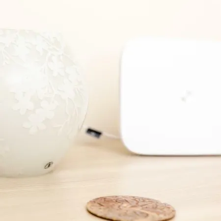 Vecchia - Tribunali *